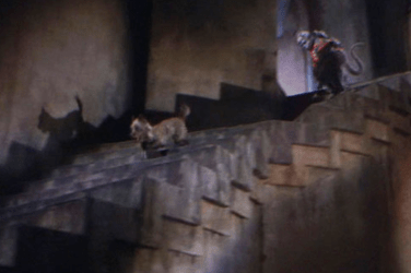 Toto 2018-01-19 at 11.24.00 AM